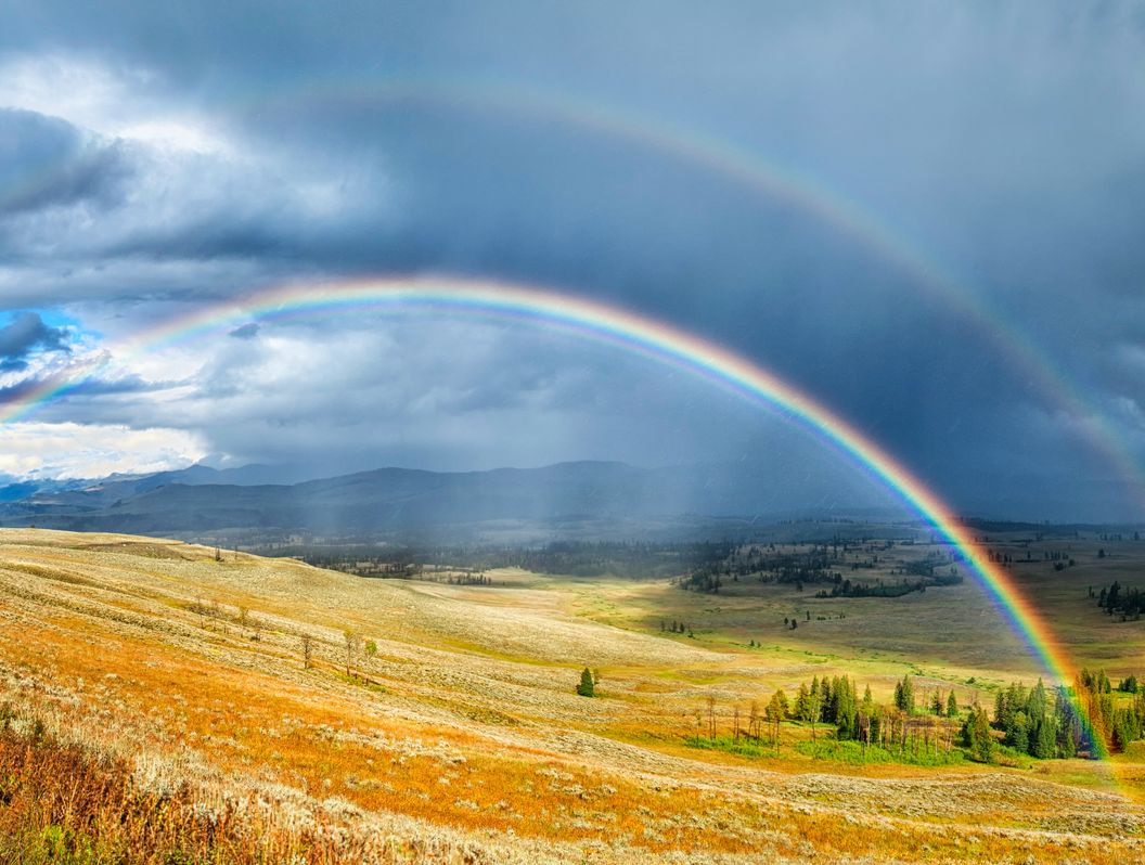 Rainbow over a field