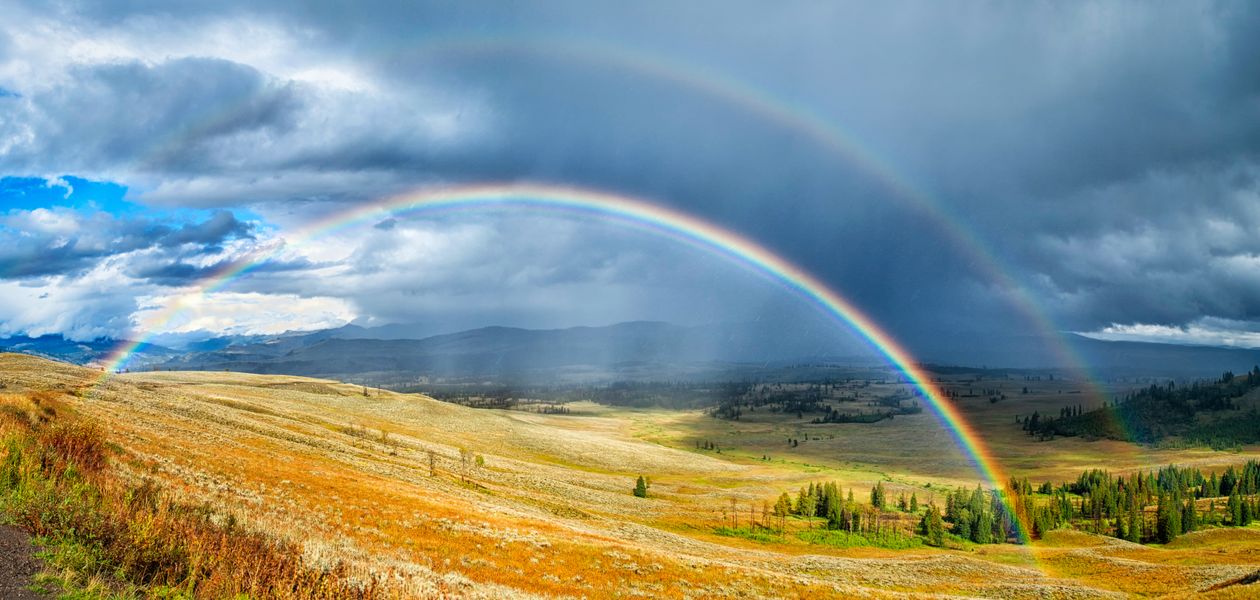 Fields with rainbow